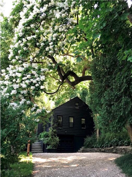 ScreenShot20210318at30033PM